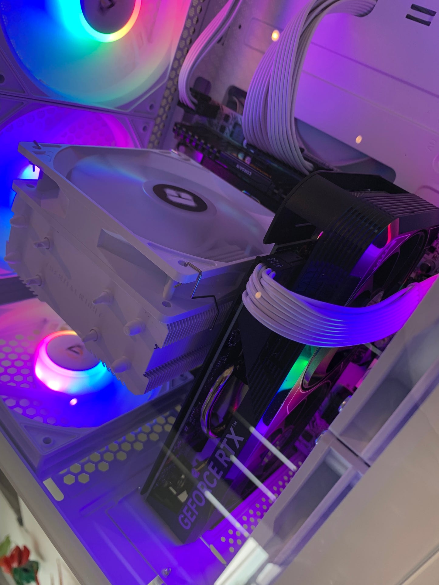 Sanctum Vision pro RGB